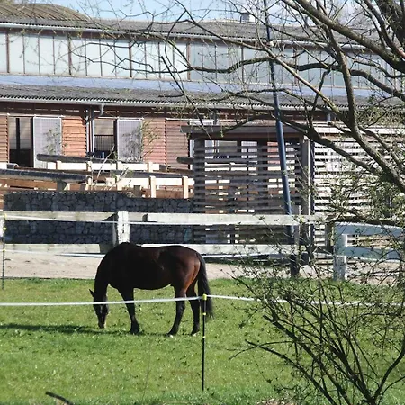 Vakantiehuis Wohnen Auf 2 Etagen Mit Terrasse Und Kamin - Fuer Kurzentschlossene