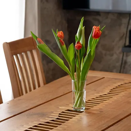 Wohnen Auf 2 Etagen Mit Terrasse Und Kamin - Fuer Kurzentschlossene *