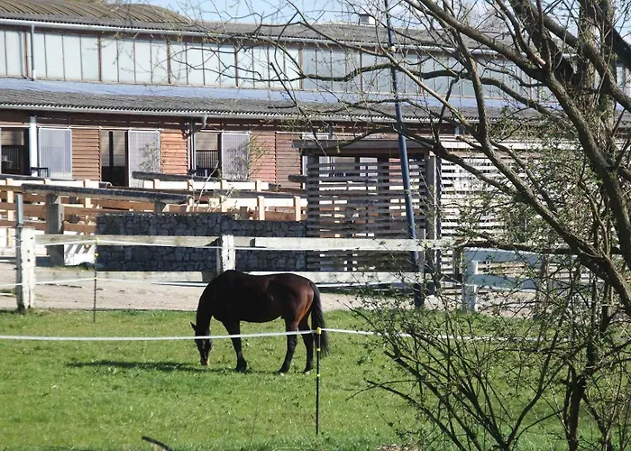 公寓 Ab 1 Pers Hexenburgbeidresden Mit Fasssauna Ausgebauter Pferdestall, Kamin, Terrasse Und Fasssauna, Naehe Saechsische Schweiz Dresden